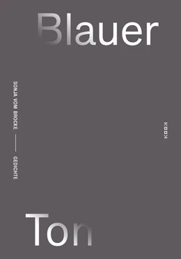 Abbildung von Vom Brocke | Blauer Ton | 1. Auflage | 2025 | beck-shop.de