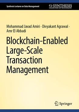 Abbildung von Amiri / Agrawal | Blockchain-Enabled Large-Scale Transaction Management | 1. Auflage | 2025 | beck-shop.de