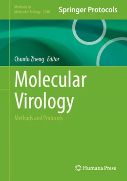 Abbildung von Zheng | Molecular Virology | 1. Auflage | 2025 | beck-shop.de