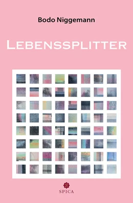 Abbildung von Niggemann | Lebenssplitter | 1. Auflage | 2025 | beck-shop.de