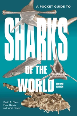 Abbildung von Ebert / Dando | A Pocket Guide to Sharks of the World | 1. Auflage | 2021 | beck-shop.de