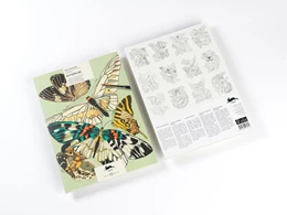 Abbildung von Roojen | Butterflies | 1. Auflage | 2025 | beck-shop.de