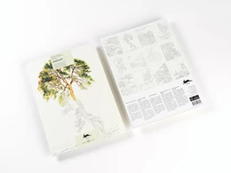 Abbildung von Roojen | Landscape | 1. Auflage | 2025 | beck-shop.de