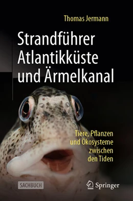 Abbildung von Jermann | Strandführer Atlantikküste und Ärmelkanal | 1. Auflage | 2025 | beck-shop.de