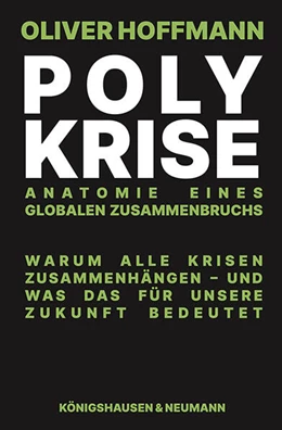 Abbildung von Hoffmann | Polykrise | 1. Auflage | 2025 | beck-shop.de