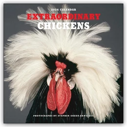 Abbildung von Harry N. Abrams | Extraordinary Chickens - Außergewöhnliche Hühner 2026 - Wandkalender - Original Harry N. Abrams Kalender [Mehrsprachig] [Kalender] | 1. Auflage | 2025 | beck-shop.de