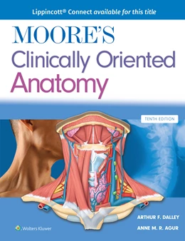 Abbildung von Dalley II / Agur | Moore's Clinically Oriented Anatomy | 10. Auflage | 2026 | beck-shop.de