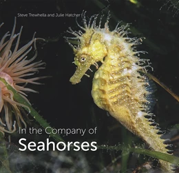 Abbildung von Trewhella / Hatcher | In the Company of Seahorses | 1. Auflage | 2022 | beck-shop.de