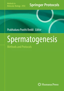 Abbildung von Reddi | Spermatogenesis | 1. Auflage | 2025 | beck-shop.de