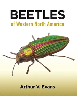 Abbildung von Evans | Beetles of Western North America | 1. Auflage | 2021 | beck-shop.de