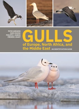 Abbildung von Adriaens / Muusse | Gulls of Europe, North Africa, and the Middle East | 1. Auflage | 2022 | beck-shop.de