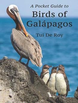 Abbildung von De Roy | A Pocket Guide to Birds of Galápagos | 1. Auflage | 2022 | beck-shop.de