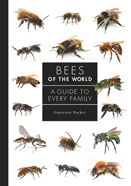 Abbildung von Packer | Bees of the World | 1. Auflage | 2023 | beck-shop.de