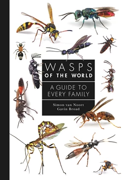 Abbildung von Noort / Broad | Wasps of the World | 1. Auflage | 2024 | beck-shop.de