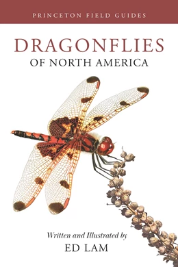 Abbildung von Lam | Dragonflies of North America | 1. Auflage | 2024 | beck-shop.de