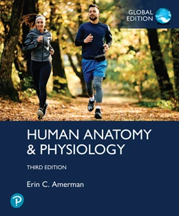 Abbildung von Amerman | Human Anatomy & Physiology, Global Edition | 3. Auflage | 2025 | beck-shop.de