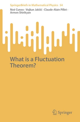 Abbildung von Cuneo / Jakšic | What is a Fluctuation Theorem? | 1. Auflage | 2025 | beck-shop.de