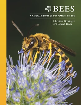 Abbildung von Grozinger / Patch | The Lives of Bees | 1. Auflage | 2024 | beck-shop.de