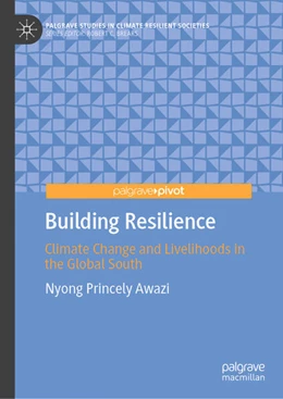 Abbildung von Awazi | Building Resilience | 1. Auflage | 2025 | beck-shop.de