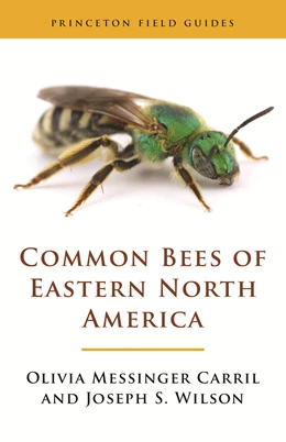 Abbildung von Carril / Wilson | Common Bees of Eastern North America | 1. Auflage | 2021 | beck-shop.de