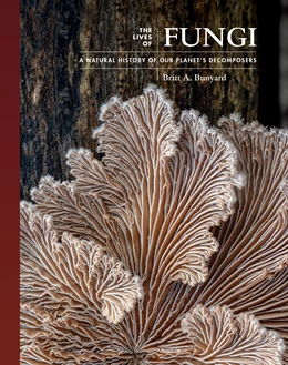 Abbildung von Bunyard | The Lives of Fungi | 1. Auflage | 2022 | beck-shop.de