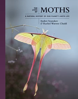 Abbildung von Sourakov / Chadd | The Lives of Moths | 1. Auflage | 2022 | beck-shop.de