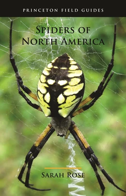 Abbildung von Rose | Spiders of North America | 1. Auflage | 2022 | beck-shop.de