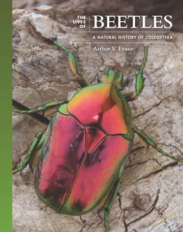 Abbildung von Evans | The Lives of Beetles | 1. Auflage | 2023 | beck-shop.de