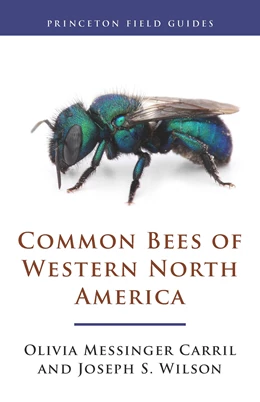 Abbildung von Carril / Wilson | Common Bees of Western North America | 1. Auflage | 2023 | beck-shop.de