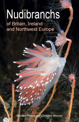 Abbildung von Picton / Morrow | Nudibranchs of Britain, Ireland and Northwest Europe | 1. Auflage | 2023 | beck-shop.de