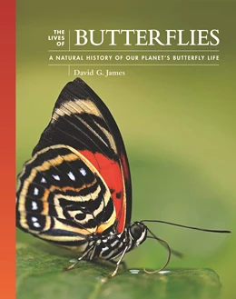 Abbildung von James / Lohman | The Lives of Butterflies | 1. Auflage | 2024 | beck-shop.de