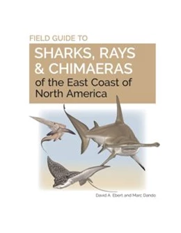 Abbildung von Ebert / Dando | Field Guide to Sharks, Rays and Chimaeras of the East Coast of North America | 1. Auflage | 2024 | beck-shop.de