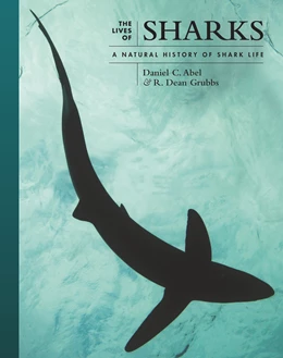 Abbildung von Abel / Grubbs | The Lives of Sharks | 1. Auflage | 2023 | beck-shop.de