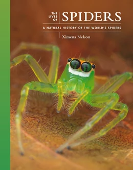 Abbildung von Nelson | The Lives of Spiders | 1. Auflage | 2024 | beck-shop.de
