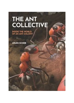 Abbildung von Schieb | The Ant Collective | 1. Auflage | 2024 | beck-shop.de