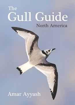 Abbildung von Ayyash | The Gull Guide | 1. Auflage | 2024 | beck-shop.de