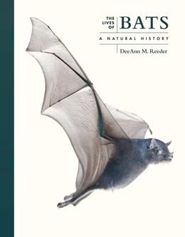 Abbildung von Reeder | The Lives of Bats | 1. Auflage | 2025 | beck-shop.de