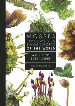 Abbildung von Wilbraham | Mosses, Liverworts, and Hornworts of the World | 1. Auflage | 2025 | beck-shop.de