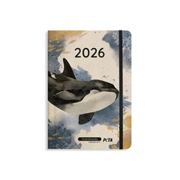 Abbildung von Matabooks | matabooks - A5 Kalender Samaya 2026 Farbe: Ocean Blue (DE/EN) | 1. Auflage | 2025 | beck-shop.de