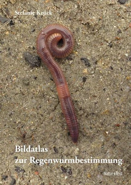 Abbildung von Krück | Bildatlas der Regenwurmbestimmung | 1. Auflage | 2025 | beck-shop.de