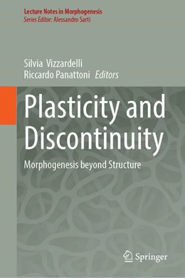 Abbildung von Vizzardelli / Panattoni | Plasticity and Discontinuity | 1. Auflage | 2025 | beck-shop.de