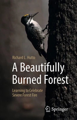 Abbildung von Hutto | A Beautifully Burned Forest | 1. Auflage | 2025 | beck-shop.de
