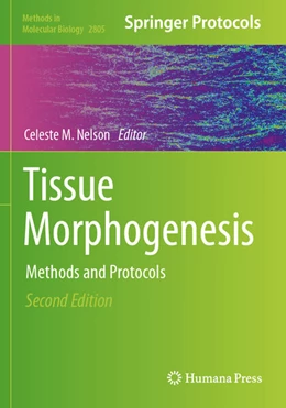 Abbildung von Nelson | Tissue Morphogenesis | 2. Auflage | 2025 | beck-shop.de