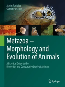 Abbildung von Paululat / Purschke | Metazoa - Morphology and Evolution of Animals | 1. Auflage | 2025 | beck-shop.de
