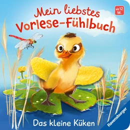 Abbildung von Höck | Mein liebstes Vorlese-Fühlbuch - Das kleine Küken | 1. Auflage | 2026 | beck-shop.de