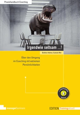 Abbildung von Hafner / Ritz | Irgendwie seltsam ...! | 2. Auflage | 2021 | beck-shop.de