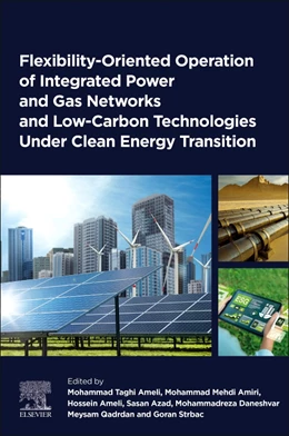 Abbildung von Ameli / Amiri | Flexibility-Oriented Operation of Integrated Power and Gas Networks and Low-Carbon Technologies Under Clean Energy Transition | 1. Auflage | 2026 | beck-shop.de
