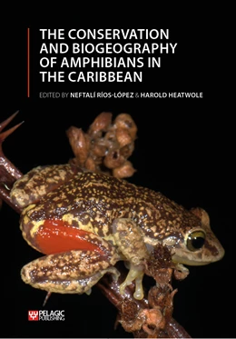 Abbildung von Ríos-López / Heatwole | The Conservation and Biogeography of Amphibians in the Caribbean | 1. Auflage | 2023 | beck-shop.de