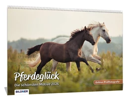 Abbildung von Haas | Pferde Kalender 2026 Pferdeglück! Die schönsten Pferdemotive und Aufnahmen 2026 | 1. Auflage | 2025 | beck-shop.de