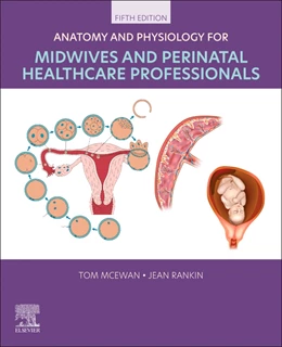 Abbildung von McEwan / Rankin | Anatomy and Physiology for Midwives and Perinatal Healthcare Professionals | 5. Auflage | 2026 | beck-shop.de